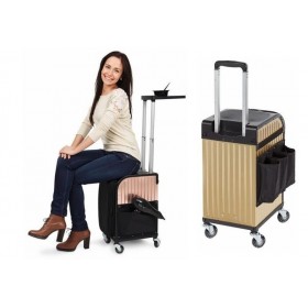 Valise Tabouret Stoolcase