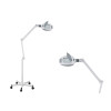 Lampe Loupe LED AMPLI+ 3x / 5x – Lumière Froide Réglable Professionnelle