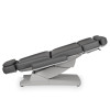 Fauteuil de soins électrique Aries Gris 3 moteurs