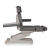 Fauteuil de soins électrique Aries Gris 3 moteurs