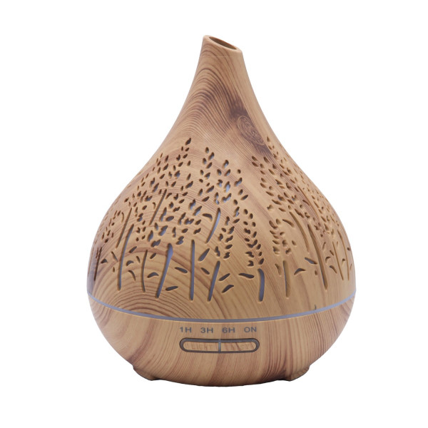 Diffuseur d’Huiles Essentielles Vase Roseaux 21 cm