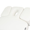 Table de Massage Tal 3 moteurs