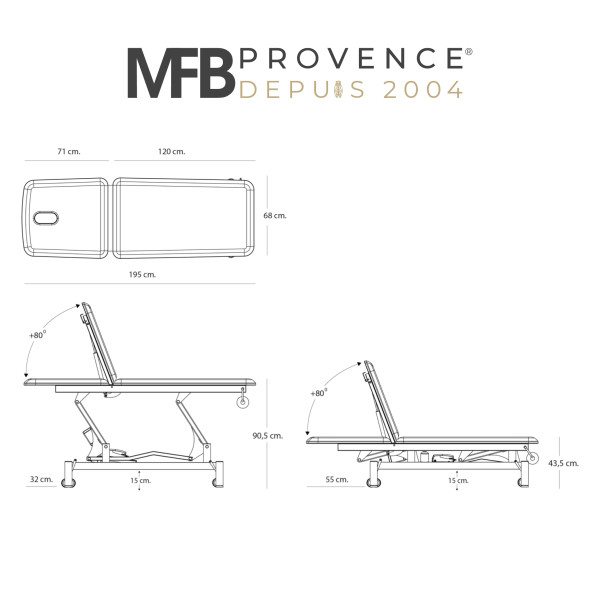 Table de massage électrique Pro 201