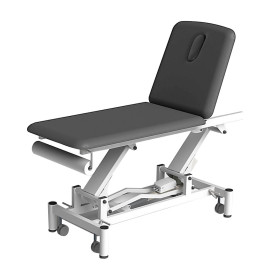 Table de massage &eacute;lectrique Pro 201