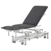 Table de massage hydraulique Mait Pro Gris