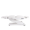 Fauteuil de soins Gir 4 moteurs