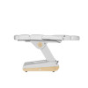 Fauteuil de Soins Swop B4 Up Blanc 4 Moteurs | MFB Provence