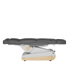 Fauteuil de soins Swop B4 GR Gris 4 moteurs | MFB Provence